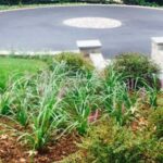 Asphalt Driveway With Paver Detail